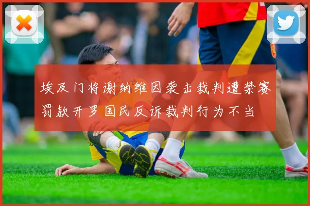 埃及门将谢纳维因袭击裁判遭禁赛罚款开罗国民反诉裁判行为不当